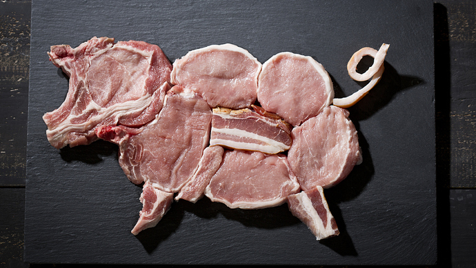 拯救“二師兄”，從選擇核酸提取方法開始